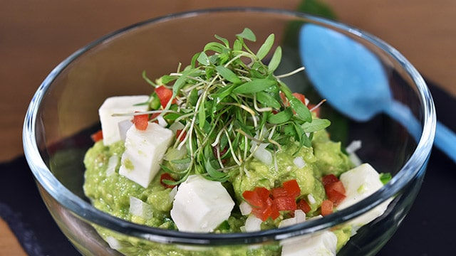 dieta vegana