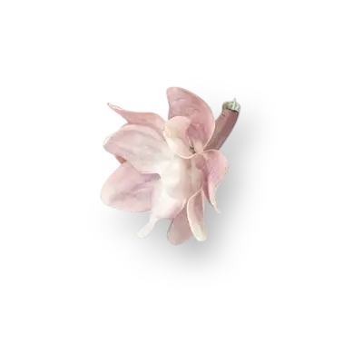 Flor de magnolia rosada
