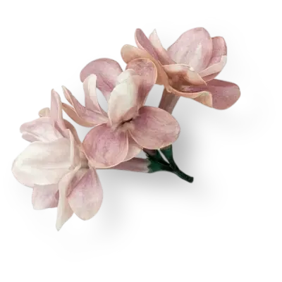 Flor de magnolia rosada