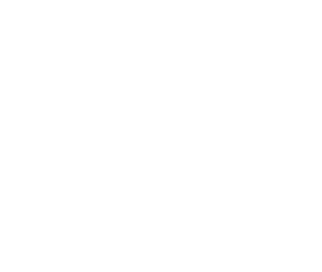 Logotipo Mestiza