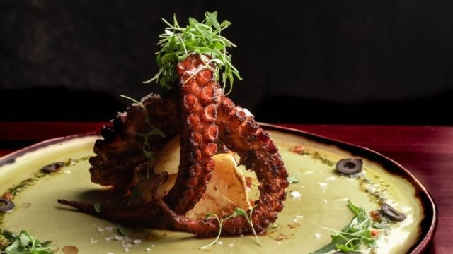 Colossal octopus, an exclusive product of Rosa Negra