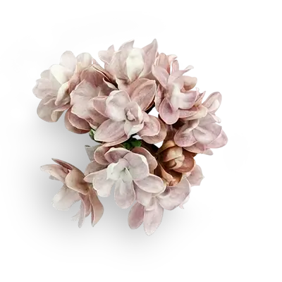 bouquet of flowers